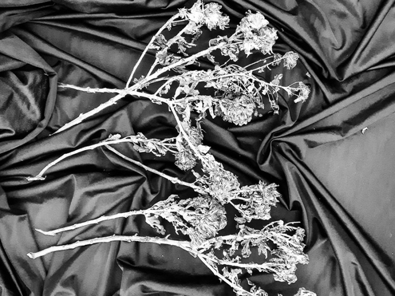 «Egunero, hementxe bertan / Everyday, right here / Todos los días, aquí mismo. Irene eta gero&nbsp;#2».