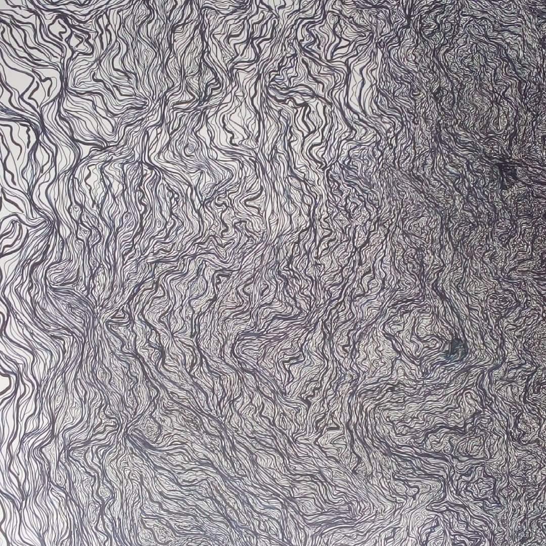 Detalle de filigrana oculta.